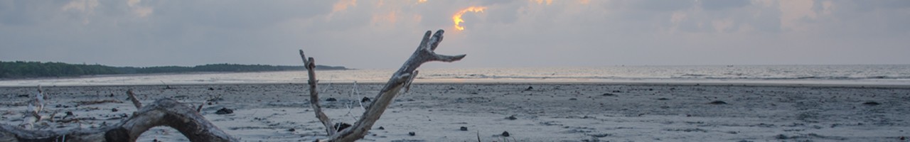Test DDFF